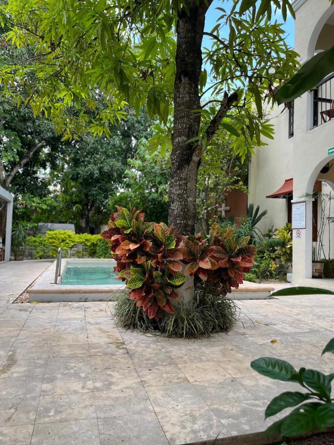 Casa Valladolid Boutique Hotel Bagian luar foto